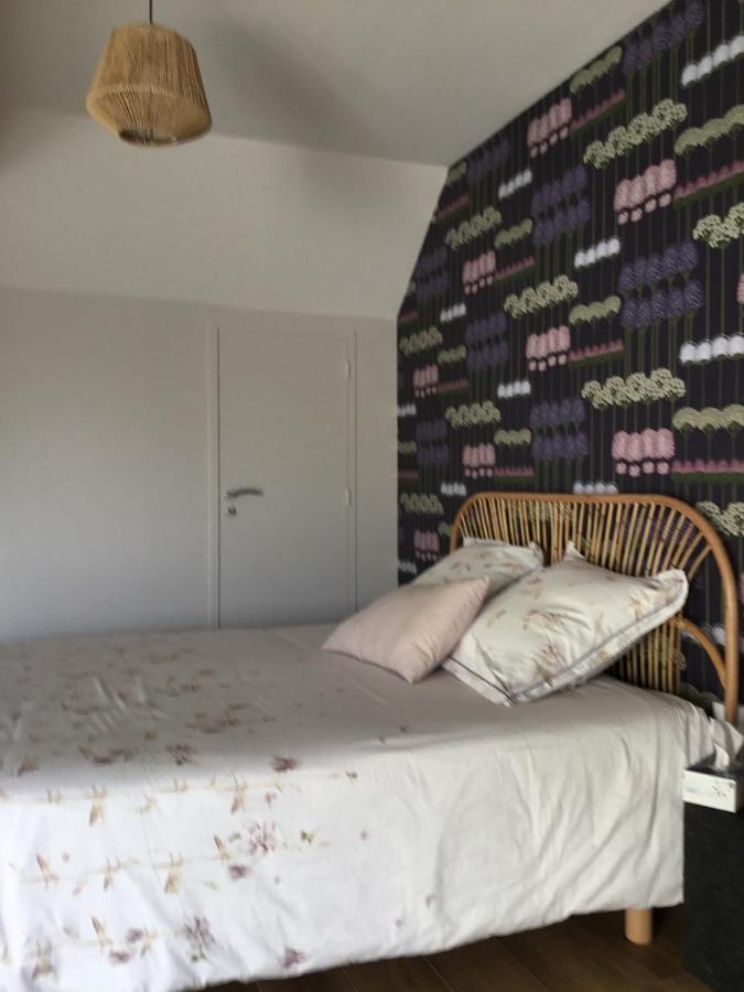 La Malvrais Appartement Janzé Buitenkant foto